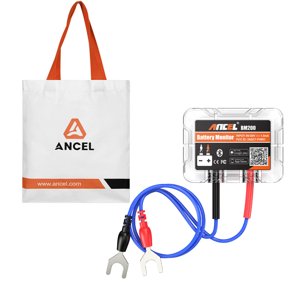 ANCEL Souvenir Canvas Tote Bag and Free Gift - Image 13