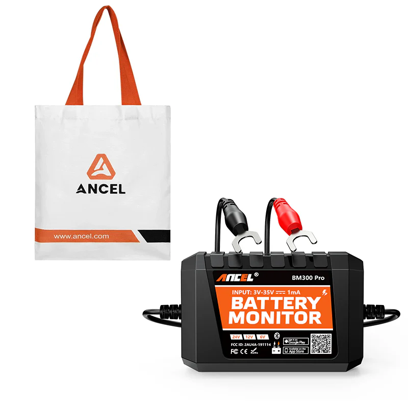 ANCEL Souvenir Canvas Tote Bag and Free Gift - Image 16